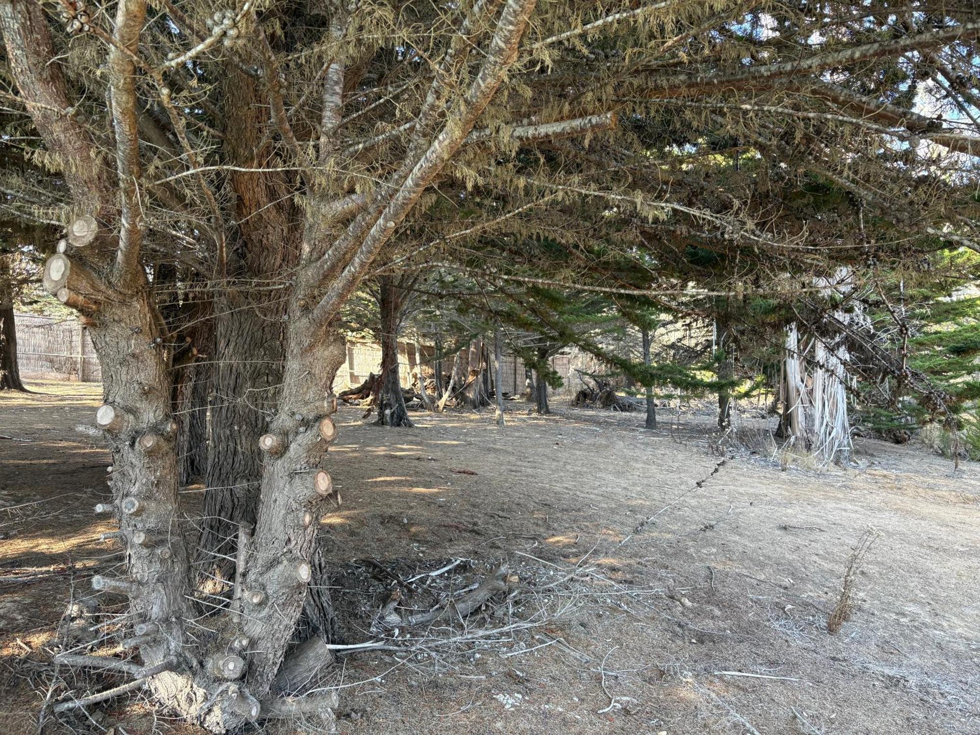 فيلا Casa De Playa Campestre سان أنطونيو المظهر الخارجي الصورة